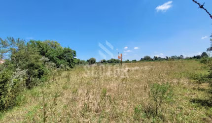 Terrenos / Lotes / Condomínio    -  São José dos Pinhais
