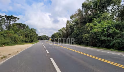 Área Rural a venda na Lapa  Rod. BR 476