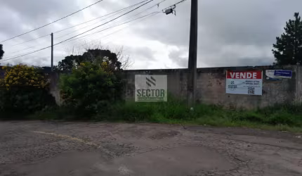 Terrenos / Lotes /   -  São José dos Pinhais