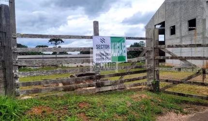 Galpão para locação no Barro Preto  -  São José dos Pinhais