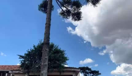 Terrenos à venda em Curitiba - Portão
