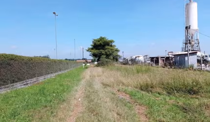 Terreno para locação em Costeira  -  São José dos Pinhais