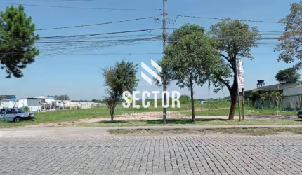 Terreno para locação em Colônia Murici  -  São José dos Pinhais