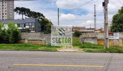 Terreno Locação  no centro de São José dos Pinhais