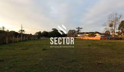 Terreno para locação São José dos Pinhais - Rio Pequeno