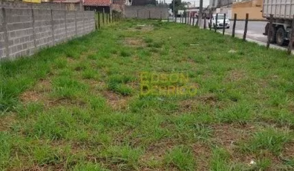 Terreno à venda, 415 m² por R$ 245.000,00 - Residencial Parque das Palmeiras - Pindamonhangaba/SP