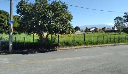 Terreno à venda, 302 m² por R$ 225.000 - Alto do Cardoso - Pindamonhangaba/SP