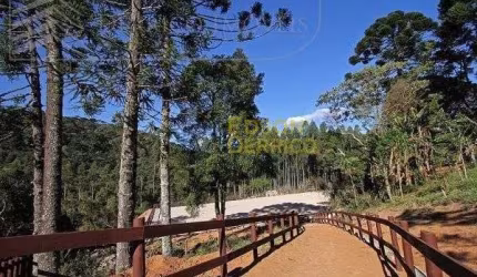 Haras à venda, 145200 m² por R$ 6.500.000,00 - Sítio - São Bento do Sapucaí/SP