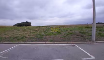 Terreno à venda, 176 m² por R$ 95.000,00 - Loteamento Residencial e Comercial Flamboyant - Pindamonhangaba/SP
