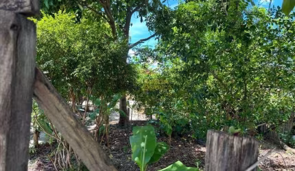 Terreno à venda, 253 m² por R$ 115.000,00 - Conjunto Habitacional Terra dos Ipês I (Norte) - Pindamonhangaba/SP