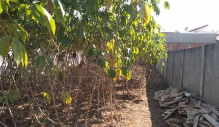 Terreno à venda, 200 m² por R$ 110.000,00 - Residencial Parque das Palmeiras - Pindamonhangaba/SP