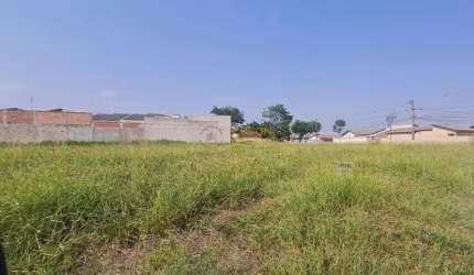 Terreno à venda, 148 m² por R$ 64.724 - Conjunto Habitacional Terra dos Ipês I (Sul) - Pindamonhangaba/SP