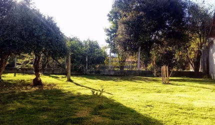 Terreno à venda, 1240 m² por R$ 620.000,00 - Crispim - Pindamonhangaba/SP