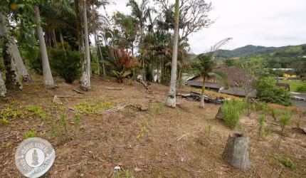 Terreno à venda no Itoupava Central, Blumenau , 610 m2 por R$ 650.000