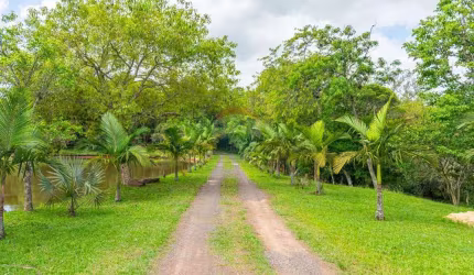 Sítio a venda - Loteamento Rural Palermo, em Gravataí