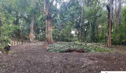 Terreno à venda na centro histórico, 8478, Centro Histórico, Santa Cruz Cabrália por R$ 230.000