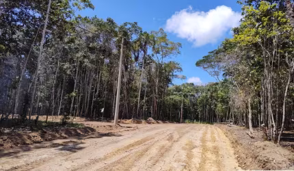 Terreno à venda na Bairro Arraial D'Ajuda, 8269, Arraial D´Ajuda, Porto Seguro por R$ 150.000