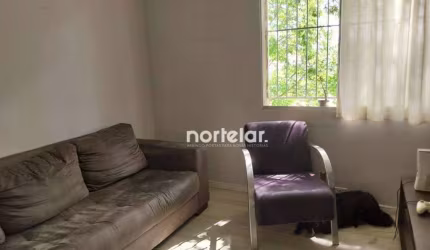 apartamento 3 quarto 93m² a venda perto do horto florestal Mandaqui