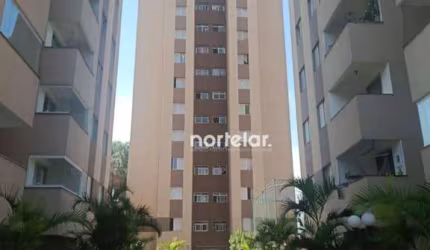 Excelente Apto no Torres de Pirituba