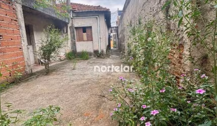 Terreno à venda, 355 m² por R$ 580.000,01 - Vila Cruz das Almas - São Paulo/SP