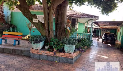 TERRENÃO COM CASA ANTIGA NA CAMPOS VELHO
