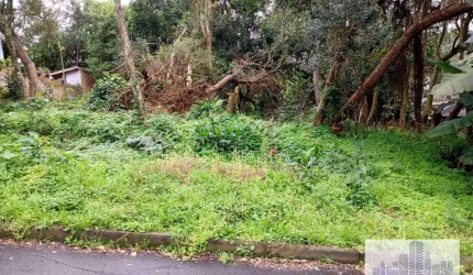 TERRENO 600 m²  VILA NOVA