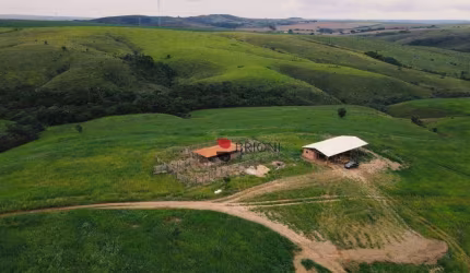 Fazenda à venda, 80 alqueires paulista,Sacramento MG I Imobiliária em Ribeirão Preto I Brioni iG