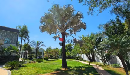 Chácara com 4 dormitórios à venda, 2500 m² por R$ 3.300.000,00 - Beira-Rio - Jardinópolis/SP