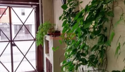 Casa agradável, 160 metros terreno, 3 dorm, 3 banheiros, 2 salas