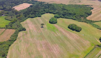 ÁREA DE 183.489,26m2 A VENDA EM SÃO JOSÉ DOS PINHAIS.