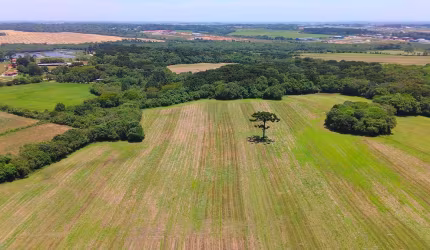 ÁREA DE 367.000,00m2 A VENDA EM SÃO JOSÉ DOS PINHAIS.