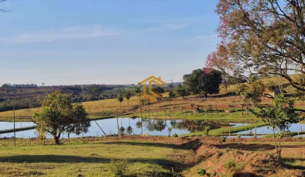 Fazenda com 2 dorms, Centro, Mirassol - R$ 14 mi, Cod: 9579