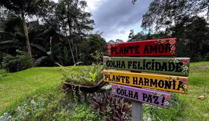 Chácara para Venda em Águas Mornas, Centro, 2 dormitórios, 1 banheiro, 2 vagas
