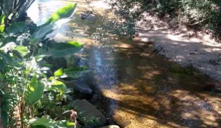Terreno para Venda em Palhoça, Maciambu