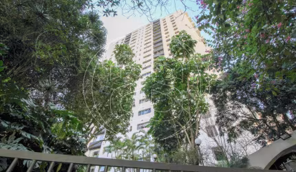 Apartamento em vila nova
