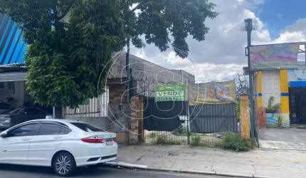 Oportunidade Imperdível na Vila Mascote!