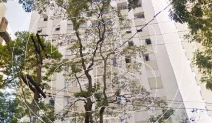 APARTAMENTO  MOEMA PÁSSAROS