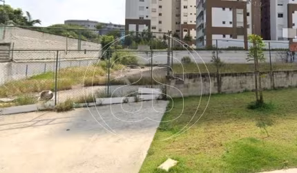Terreno comercial à venda, Chácara Santo Antônio - São Paulo - SP