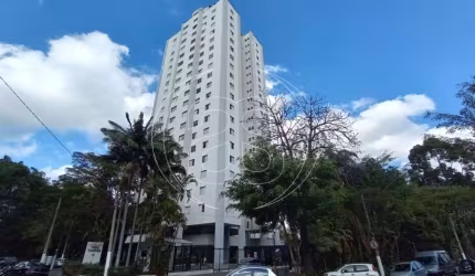 Apartamento para VENDA - Granja Julieta,