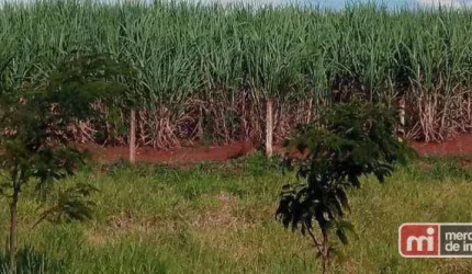Área à venda, 889592 m² por R$ 38.000.000,00 - Zona Rural - Ribeirão Preto/SP