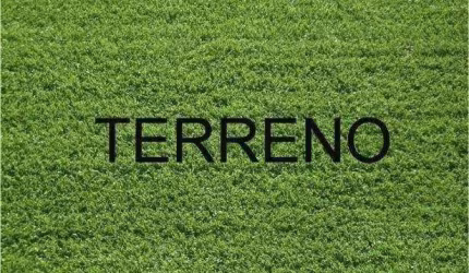 Terreno à venda, 1249 m² por R$ 1.562.012,50 - Sítio São Bento 2 - Ribeirão Preto/SP