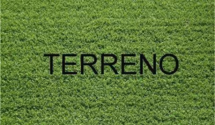 Terreno à venda, 650 m² por R$ 2.100.000,00 - Bosque das Juritis - Ribeirão Preto/SP