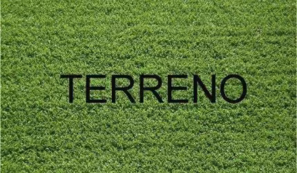 Terreno à venda, 250 m² por R$ 199.000,00 - San Gabriel - Ribeirão Preto/SP
