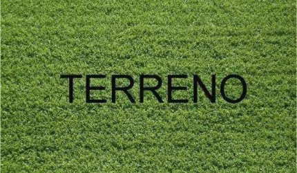 Terreno à venda, 865 m² por R$ 1.275.000,00 - Sítio São Bento II - Ribeirão Preto/SP