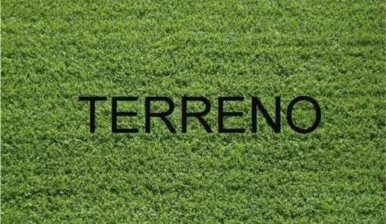 Terreno à venda, 5046 m² por R$ 5.350.760 - Recreio Anhangüera - Ribeirão Preto/SP