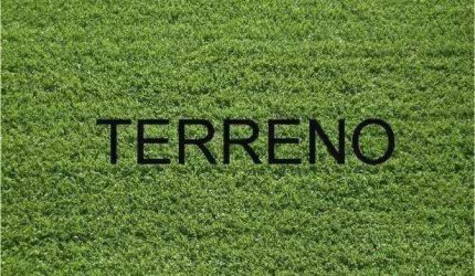 Terreno à venda, 463 m² por R$ 371.000,00 - Ribeirânia - Ribeirão Preto/SP