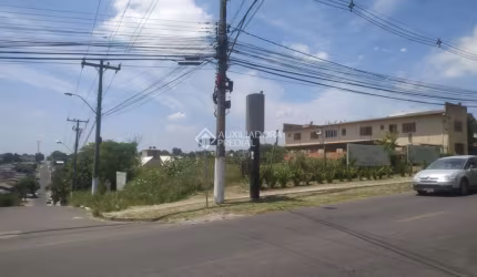 Terreno à venda na Estrada Frederico Dihl, Bela Vista, Alvorada, 806 m2 por R$ 850.000