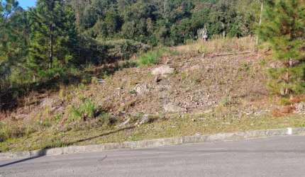 Terreno à venda na Rua Francisca de Steffani Doncato, 0000, Santa Catarina, Caxias do Sul, 300 m2 por R$ 110.000