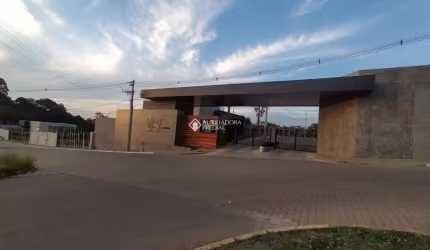 Terreno à venda na Rua Florença, 22, Vicentina, Farroupilha, 650 m2 por R$ 1.590.000