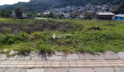 Terreno à venda na Rua Luiz Covolan, 6, Santa Catarina, Caxias do Sul, 308 m2 por R$ 150.000
